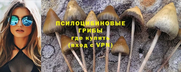 эйфоретик Алзамай