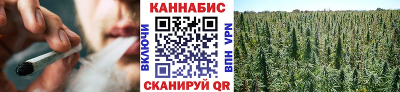 купить наркотики цена  Пролетарск  Бошки марихуана гибрид 